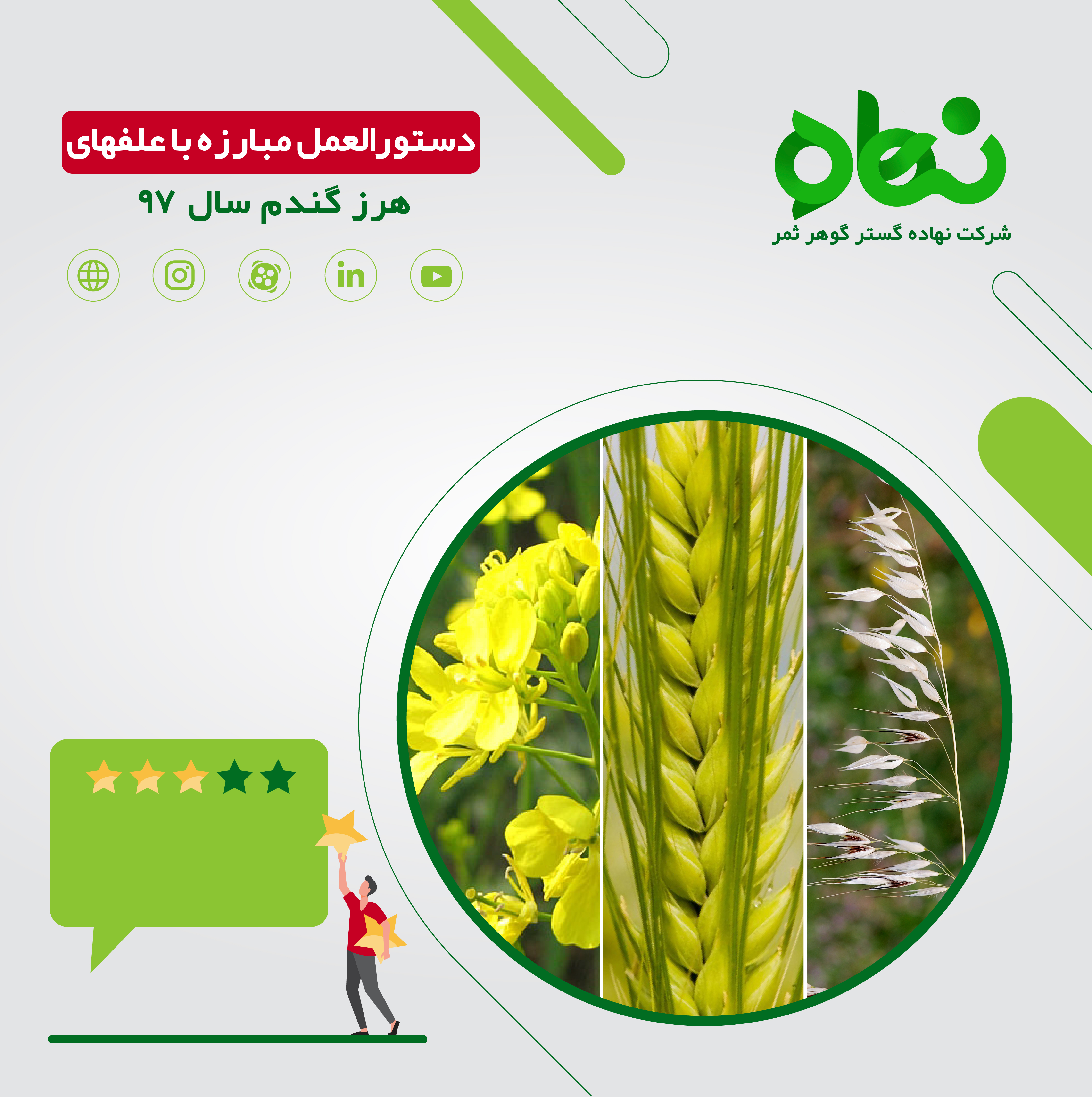 دستورالعمل اجرایی مدیریت شیمیایی علف های هرز گندم و جو سال 97